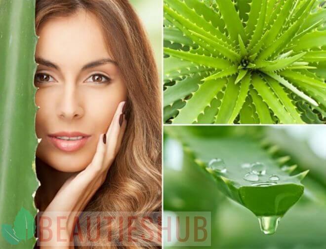 ماسك الصبار للبشرة